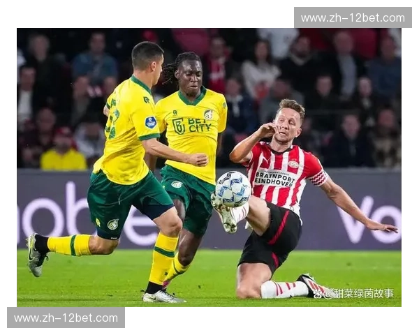 荷甲裁判：绿茵场上的冷静与艺术